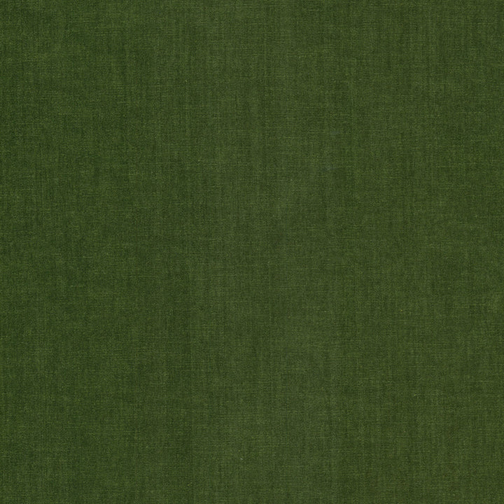Bountiful 11 Chive by Stout Fabric Stout Fabric Bountiful 11 ChiveFabric Chenille Chic 63%Pol 37%Cot India </p><p>Repeat: H: 0, V: 13.5 54 in - Fabric Carolina -