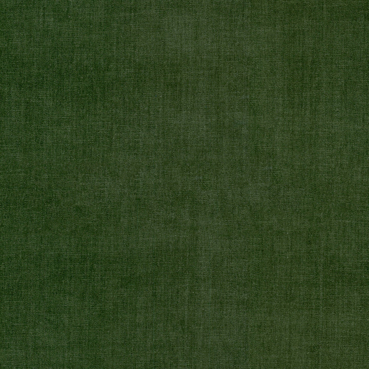 Bountiful 13 Bottle by Stout Fabric Stout Fabric Bountiful 13 BottleFabric Chenille Chic 63%Pol 37%Cot India </p><p>Repeat: H: 0, V: 13.5 54 in - Fabric Carolina -