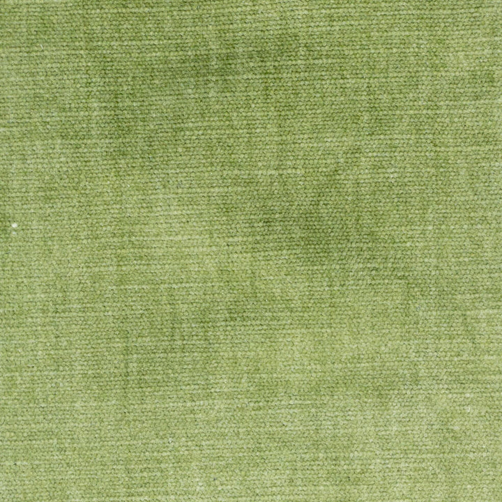 Bountiful 1 Pistachio by Stout Fabric LIVING IS EASY SPRING/SPA 63%POL 37%COT INDIA FLAME RETARDANT-U.F.A.C. CLASS 1 FLAME RETARDANT-N.F.P.A. 260A CLASS 1 CATB 117-2013 WYZENBEEK 65 000 DOUBLE RUB WEAR TEST (HEAVY DUTY) Horizontal: 0.000 and Vertical: 0.000 54 in - Fabric Carolina -