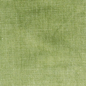 Bountiful 1 Pistachio by Stout Fabric