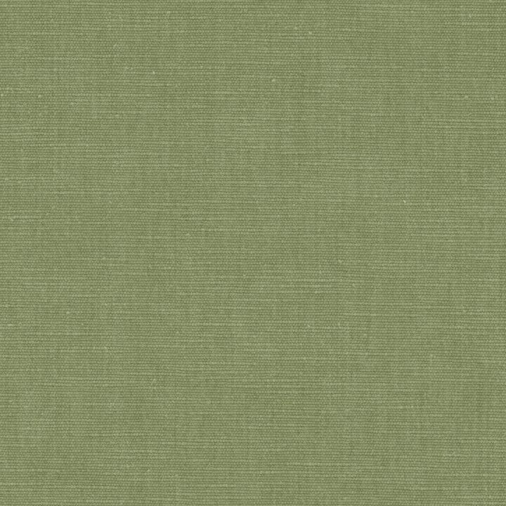Bountiful 1 Pistachio by Stout Fabric Stout Fabric Bountiful 1 PistachioFabric LIVING IS EASY SPRING/SPA 63%POL 37%COT INDIA </p><p>Repeat: H: 0.000, V: 0.000 54 in - Fabric Carolina -