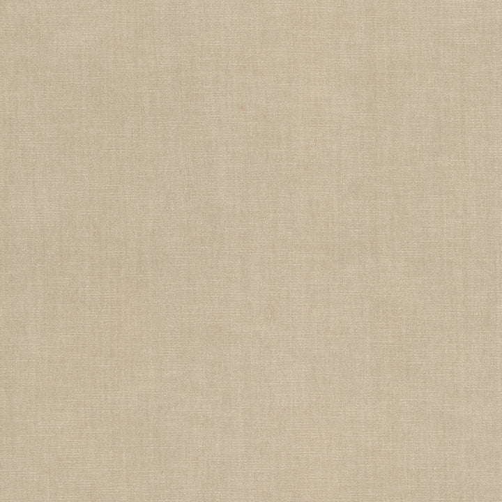 Bountiful 31 Pumice by Stout Fabric Stout Fabric Bountiful 31 PumiceFabric Chenille Chic 63%Pol 37%Cot India </p><p>Repeat: H: 0, V: 0 54 in - Fabric Carolina -