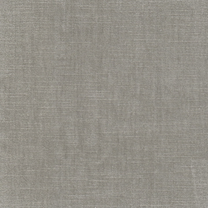Bountiful 9 Nickel by Stout Fabric LIVING IS EASY GREY/SLATE 63%POL 37%COT INDIA Horizontal: 0.000 and Vertical: 0.000 54 in - Fabric Carolina -