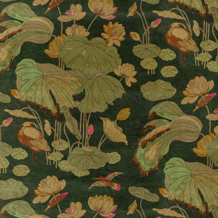 Nympheus Velvet Emerald by G P & J Baker Fabric SIGNATURE VELVETS VISCOSE - 60%;COTTON - 30%;POLYESTER - 10% Italy Horizontal: 26.989 and Vertical: 35.46 53.978 - Fabric Carolina -