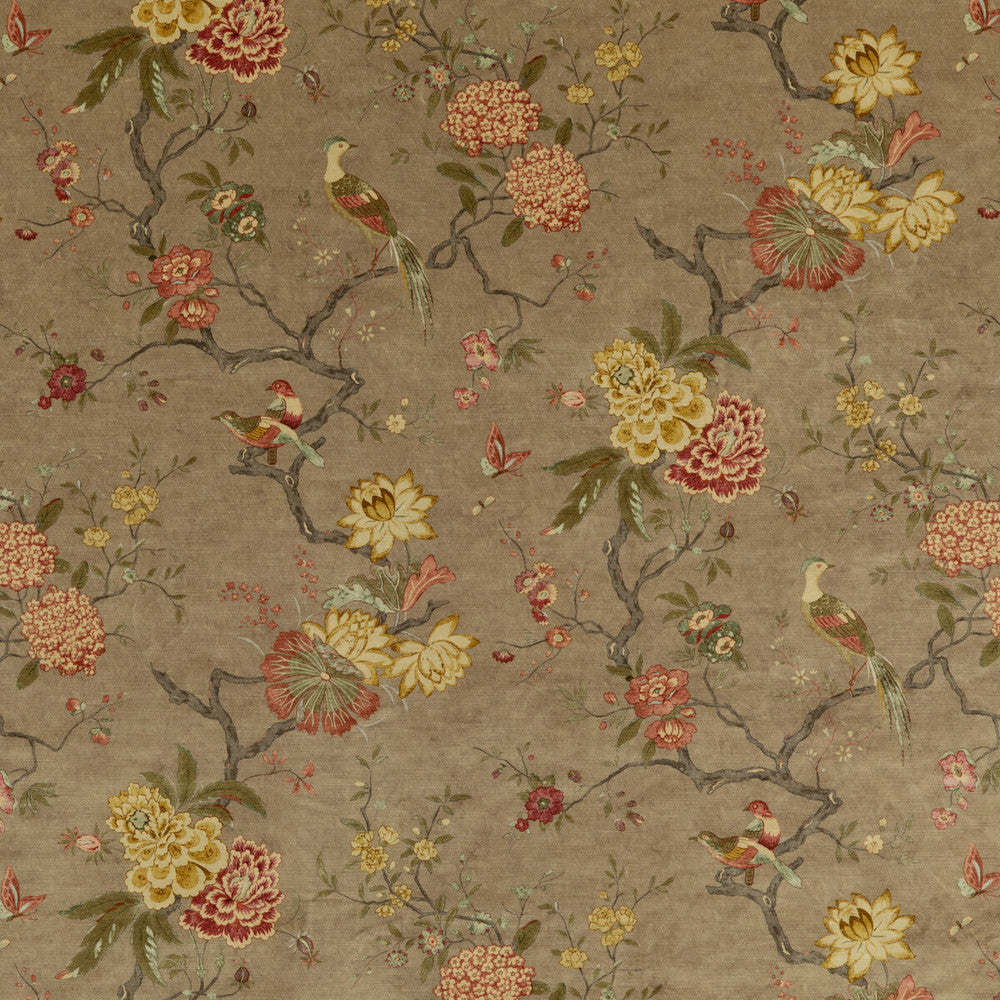 Oriental Bird Velvet Mole by G P & J Baker Designer Fabric SIGNATURE VELVETS VISCOSE - 60%;COTTON - 30%;POLYESTER - 10% Italy Horizontal: 17.9664 and Vertical: 32.308 53.978 - Swanky Fabrics -
