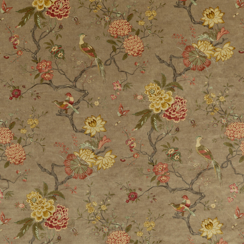 Oriental Bird Velvet Mole by G P & J Baker Fabric SIGNATURE VELVETS VISCOSE - 60%;COTTON - 30%;POLYESTER - 10% Italy Horizontal: 17.9664 and Vertical: 32.308 53.978 - Fabric Carolina -