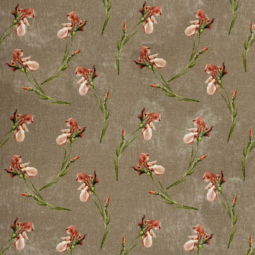 Baker Iris Mole by G P & J Baker Fabric G P & J Baker Fabric Baker Iris MoleFabric SIGNATURE VELVETS VISCOSE - 55%;COTTON - 45% Italy </p><p>Repeat: H: 27.58, V: 23.246 55.16 - Fabric Carolina -