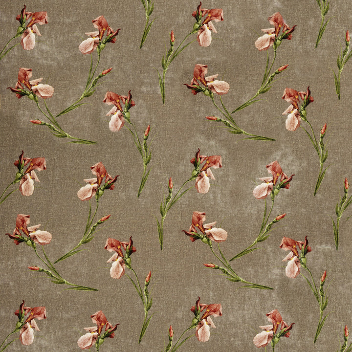 Baker Iris Mole by G P & J Baker Fabric SIGNATURE VELVETS VISCOSE - 55%;COTTON - 45% Italy Horizontal: 27.58 and Vertical: 23.246 55.16 - Fabric Carolina -