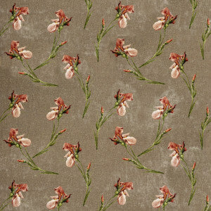 Baker Iris Mole by G P & J Baker Fabric