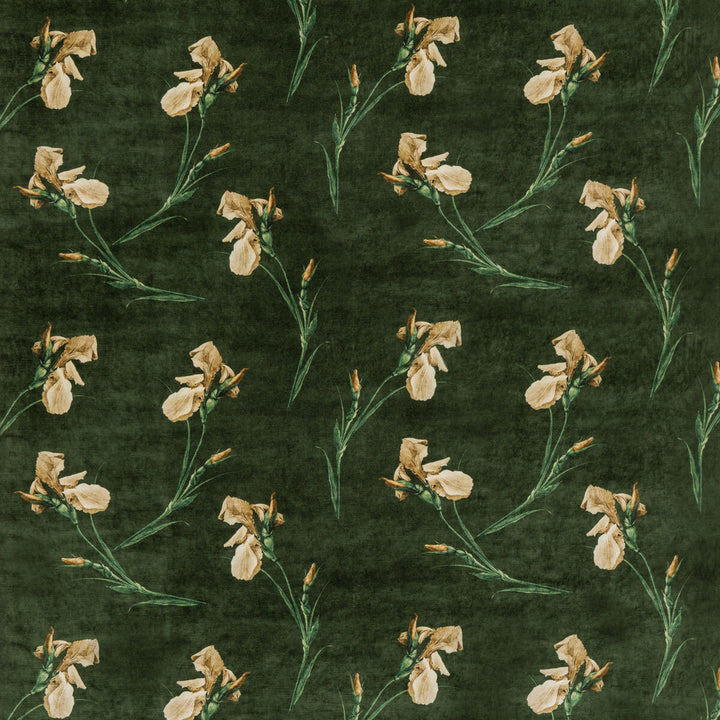 Baker Iris Emerald by G P & J Baker Fabric SIGNATURE VELVETS VISCOSE - 55%;COTTON - 45% Italy - Horizontal: 27.58 and Vertical: 23.246 55.16 - Fabric Carolina -
