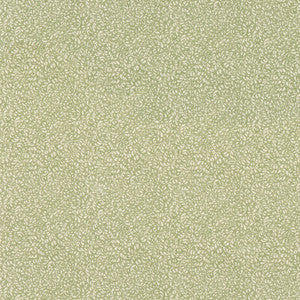 Tansy Green by G P & J Baker Fabric