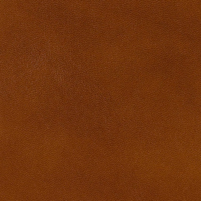 Brunschwig & Fils Upholstery BR-20009.839.0 Upholstery LEATHER - 100% Italy </p><p>Repeat: H: , V: 27.5 21 - My Fabric Connection -