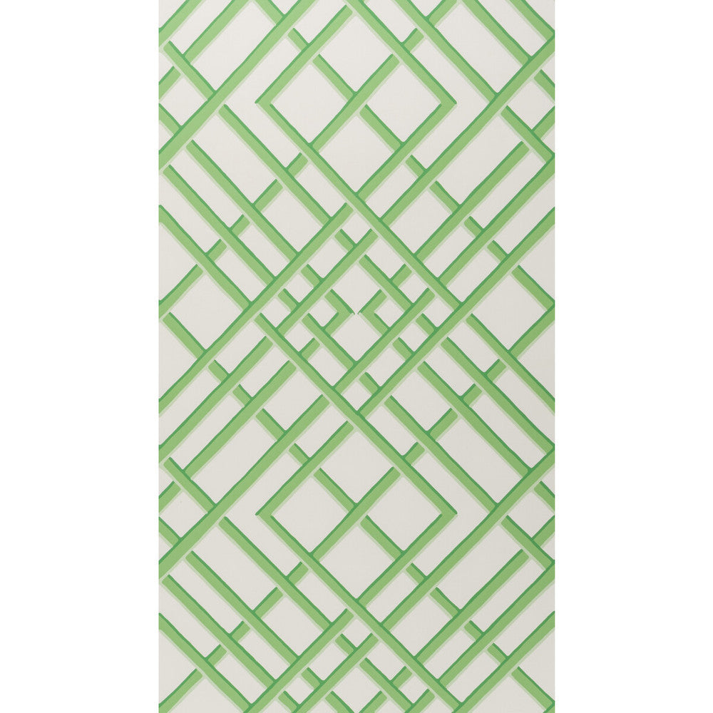 Treillage Sidewall Leaf by Brunschwig & Fils Wallcovering Brunschwig & Fils Wallcovering Treillage Sidewall LeafWallcovering VOLUME 56 PAPER - 100% United States </p><p>Repeat: H: 21, V: 21 21 - Fabric Carolina -