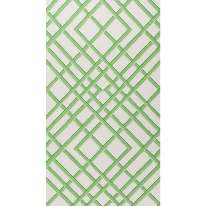 Treillage Sidewall Leaf by Brunschwig & Fils Wallcovering Brunschwig & Fils Wallcovering Treillage Sidewall LeafWallcovering VOLUME 56 PAPER - 100% United States </p><p>Repeat: H: 21, V: 21 21 - Fabric Carolina -