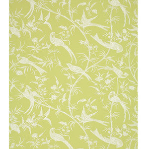 Bengali Pistachio by Brunschwig & Fils Wallcovering