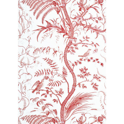 Bird And Thistle Red by Brunschwig & Fils Wallcovering Brunschwig & Fils Wallcovering Bird And Thistle RedWallcovering PAPER - 100% United States </p><p>Repeat: H: 27, V: 36 27 - Fabric Carolina -