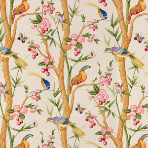 Toucans Beige by Brunschwig & Fils Fabric