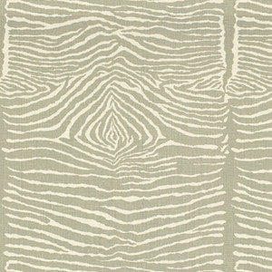 Le Zebre Pewter by Brunschwig & Fils Fabric