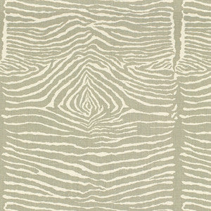 Le Zebre Pewter by Brunschwig & Fils Fabric