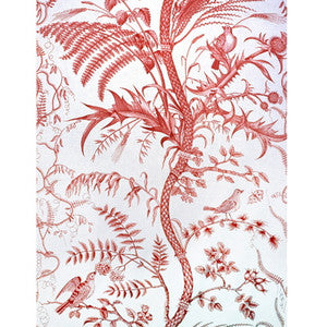 Bird And Thistle Cotton Print Red by Brunschwig & Fils Fabric