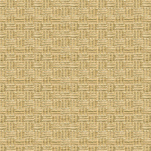 Reed Texture Linen by Brunschwig & Fils Fabric