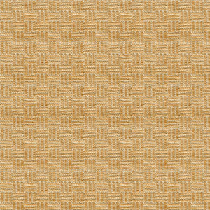 Reed Texture Biscuit by Brunschwig & Fils Fabric