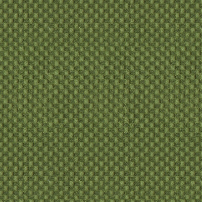 New Meymac Check Velvet Vert by Brunschwig & Fils Fabric Brunschwig & Fils Fabric New Meymac Check Velvet VertFabric LINEN - 58%;COTTON - 42% France </p><p>Repeat: H: , V: 51 - Fabric Carolina -