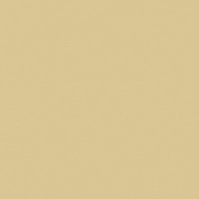 Satin La Tour Mastick by Brunschwig & Fils Fabric Brunschwig & Fils Fabric Satin La Tour MastickFabric COTTON - 68%;SILK - 32% France </p><p>Repeat: H: , V: 50 - Fabric Carolina -
