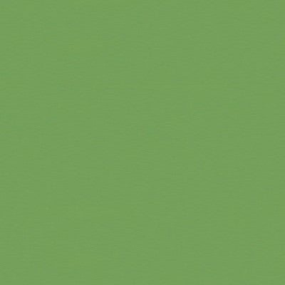 Satin La Tour Vert by Brunschwig & Fils Fabric Brunschwig & Fils Fabric Satin La Tour VertFabric COTTON - 68%;SILK - 32% France </p><p>Repeat: H: , V: 50 - Fabric Carolina -