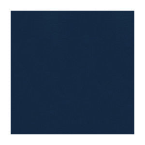 Ninon Taffetas Midnight Blue by Brunschwig & Fils Fabric