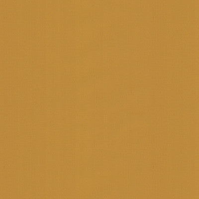 Ninon Taffetas Blonde by Brunschwig & Fils Fabric Brunschwig & Fils Fabric Ninon Taffetas BlondeFabric SILK - 100% France </p><p>Repeat: H: , V: 50 - Fabric Carolina -