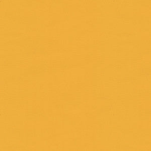 Ninon Taffetas Sunburst by Brunschwig & Fils Fabric
