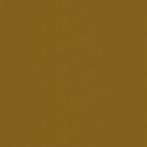 Ninon Taffetas Nile by Brunschwig & Fils Fabric