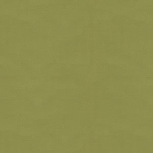 Ninon Taffetas Fern by Brunschwig & Fils Fabric