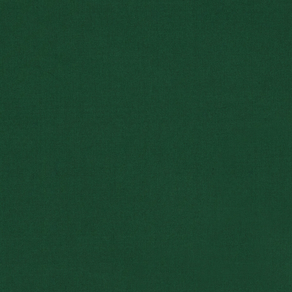 Ninon Taffetas Emerald by Brunschwig & Fils Fabric Brunschwig & Fils Fabric Ninon Taffetas EmeraldFabric SILK - 100% France </p><p>Repeat: H: , V: 50 - Fabric Carolina -