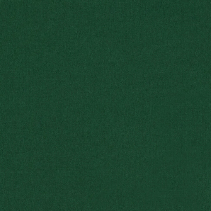 Ninon Taffetas Emerald by Brunschwig & Fils Fabric Brunschwig & Fils Fabric Ninon Taffetas EmeraldFabric SILK - 100% France </p><p>Repeat: H: , V: 50 - Fabric Carolina -