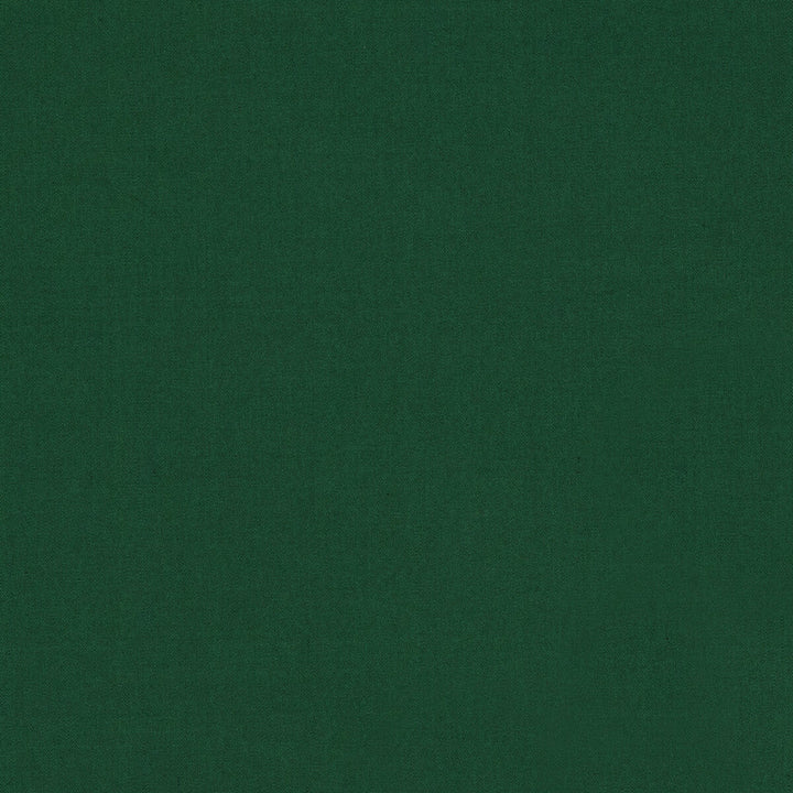 Ninon Taffetas Emerald by Brunschwig & Fils Fabric Brunschwig & Fils Fabric Ninon Taffetas EmeraldFabric SILK - 100% France </p><p>Repeat: H: , V: 50 - Fabric Carolina -