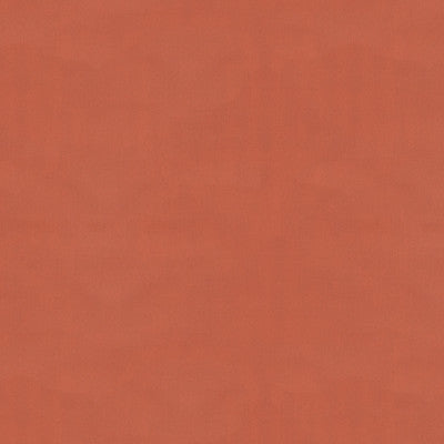 Ninon Taffetas Peach Rust by Brunschwig & Fils Fabric Brunschwig & Fils Fabric Ninon Taffetas Peach RustFabric SILK - 100% France </p><p>Repeat: H: , V: 50 - Fabric Carolina -
