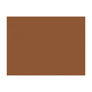 Ninon Taffetas Hazelnut by Brunschwig & Fils Fabric