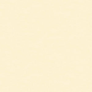 Ninon Taffetas Blanc by Brunschwig & Fils Fabric