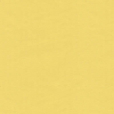 Ninon Taffetas Jaune by Brunschwig & Fils Fabric Brunschwig & Fils Fabric Ninon Taffetas JauneFabric SILK - 100% France </p><p>Repeat: H: , V: 50 - Fabric Carolina -