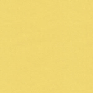 Ninon Taffetas Jaune BR-81081.JJI.0 by Brunschwig & Fils Fabric