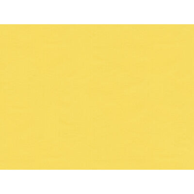 BR-81081.K.0 by Brunschwig & Fils Fabric Brunschwig & Fils Fabric BR-81081.K.0Fabric SILK - 100% France </p><p>Repeat: H: , V: 50 - Fabric Carolina -