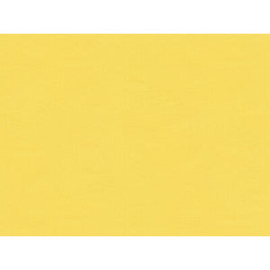Ninon Taffetas Jaune BR-81081.K.0 by Brunschwig & Fils Fabric