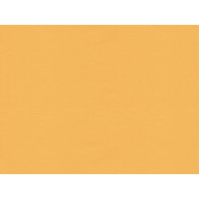 BR-81081.M.0 by Brunschwig & Fils Fabric Brunschwig & Fils Fabric BR-81081.M.0Fabric SILK - 100% France </p><p>Repeat: H: , V: 50 - Fabric Carolina -