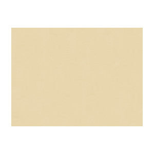 Ninon Taffetas Gris by Brunschwig & Fils Fabric