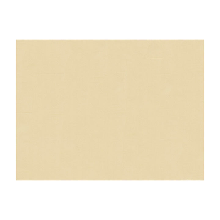 Ninon Taffetas Gris by Brunschwig & Fils Fabric Brunschwig & Fils Fabric Ninon Taffetas GrisFabric SILK - 100% France </p><p>Repeat: H: , V: 50 - Fabric Carolina -
