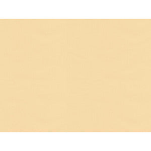 Ninon Taffetas Beige BR-81081.PPA.0 by Brunschwig & Fils Fabric