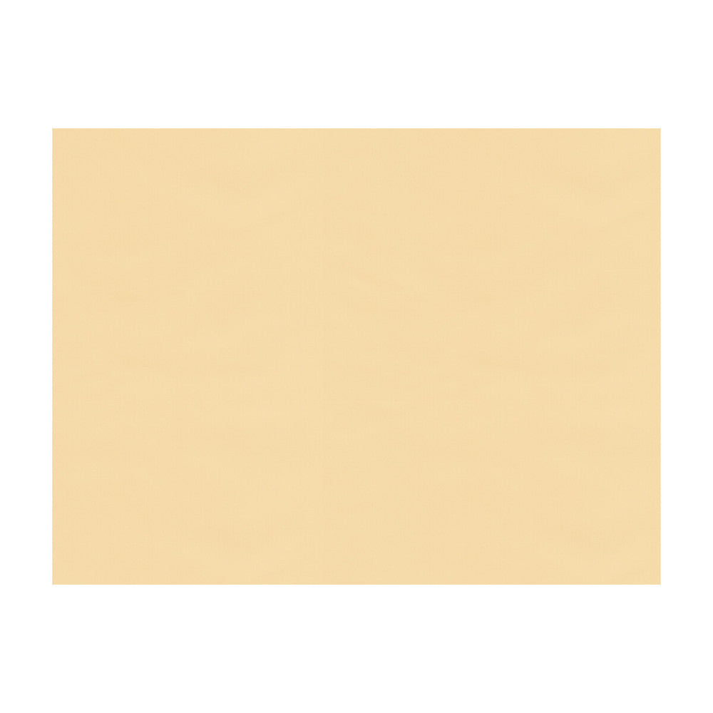Ninon Taffetas Beige by Brunschwig & Fils Fabric Brunschwig & Fils Fabric Ninon Taffetas BeigeFabric SILK - 100% France </p><p>Repeat: H: , V: 50 - Fabric Carolina -