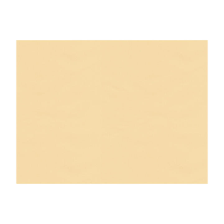 Ninon Taffetas Beige by Brunschwig & Fils Fabric Brunschwig & Fils Fabric Ninon Taffetas BeigeFabric SILK - 100% France </p><p>Repeat: H: , V: 50 - Fabric Carolina -